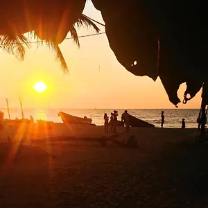 https://grace-homestay.negombohotels.net
